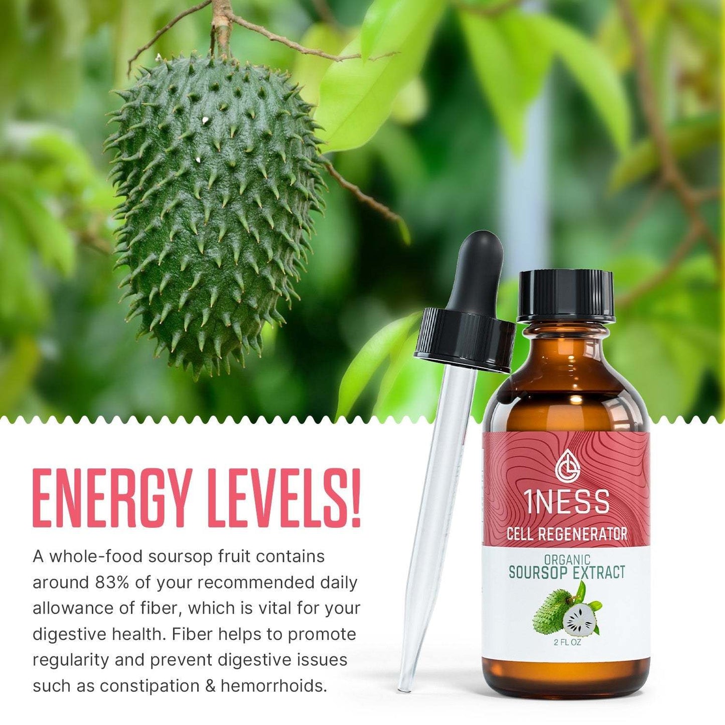 Soursop Extract for Cell Regeneration with Turmeric and Chlorophyll