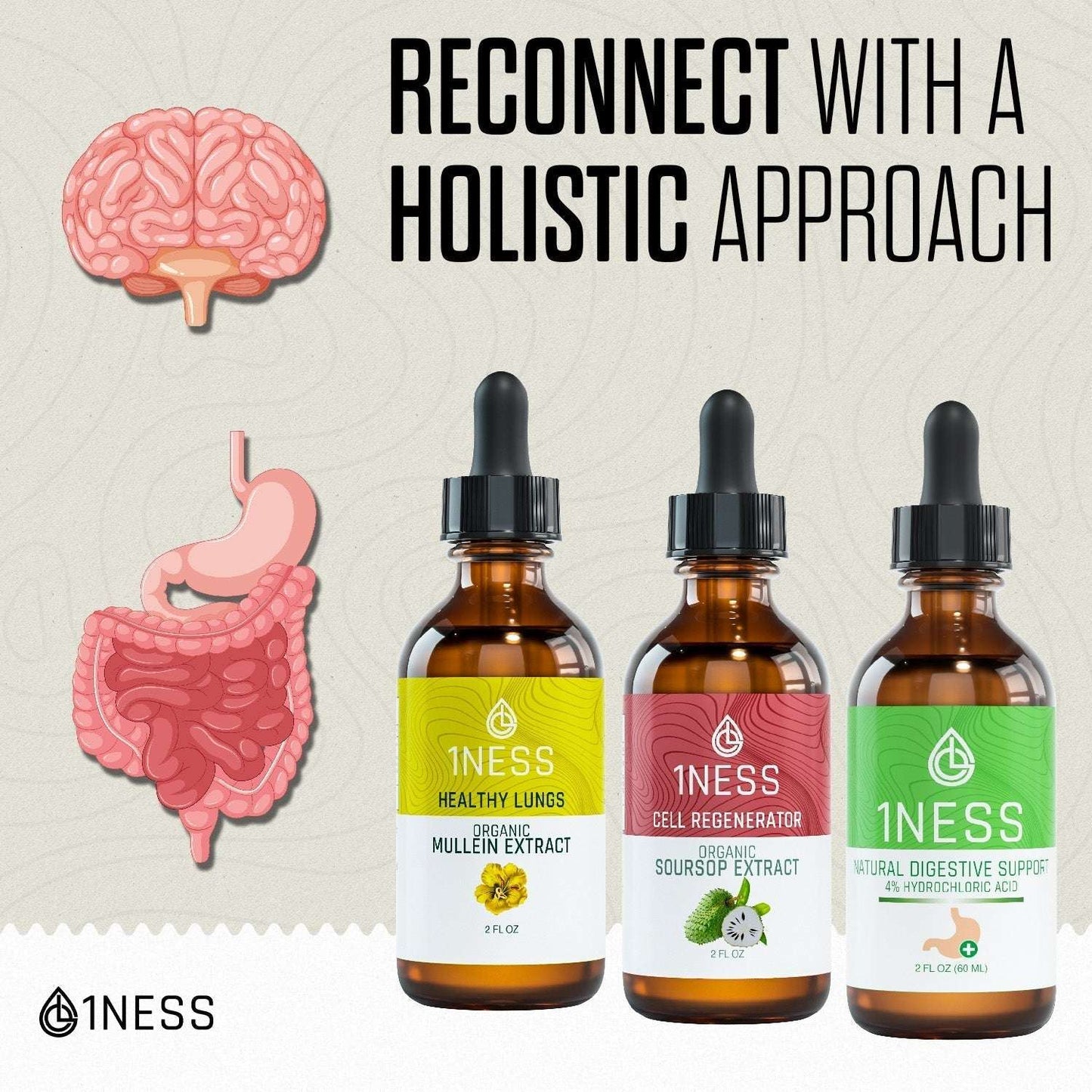 Gut-Brain Connection Package for Digestive Health