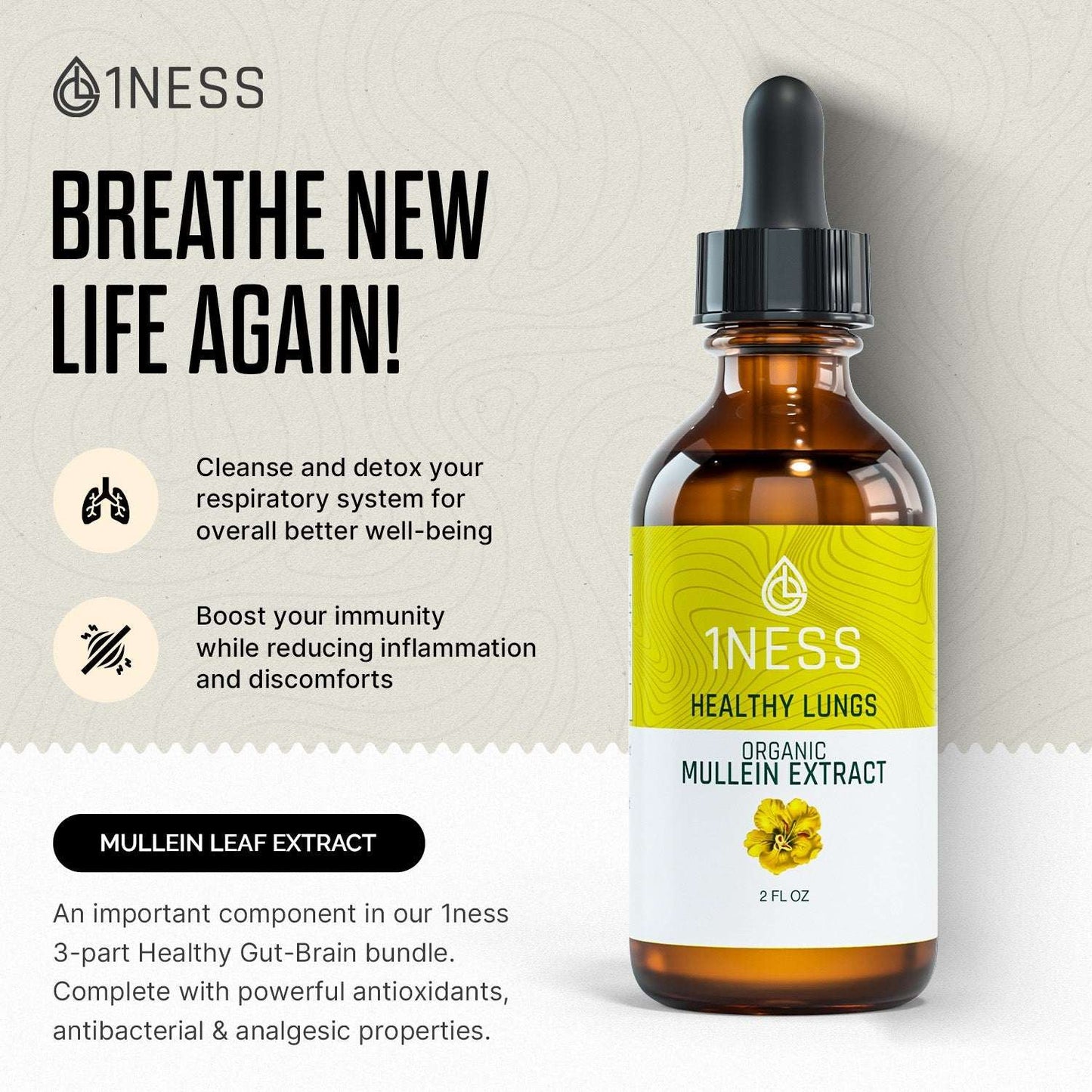 Gut-Brain Connection Package for digestive aid