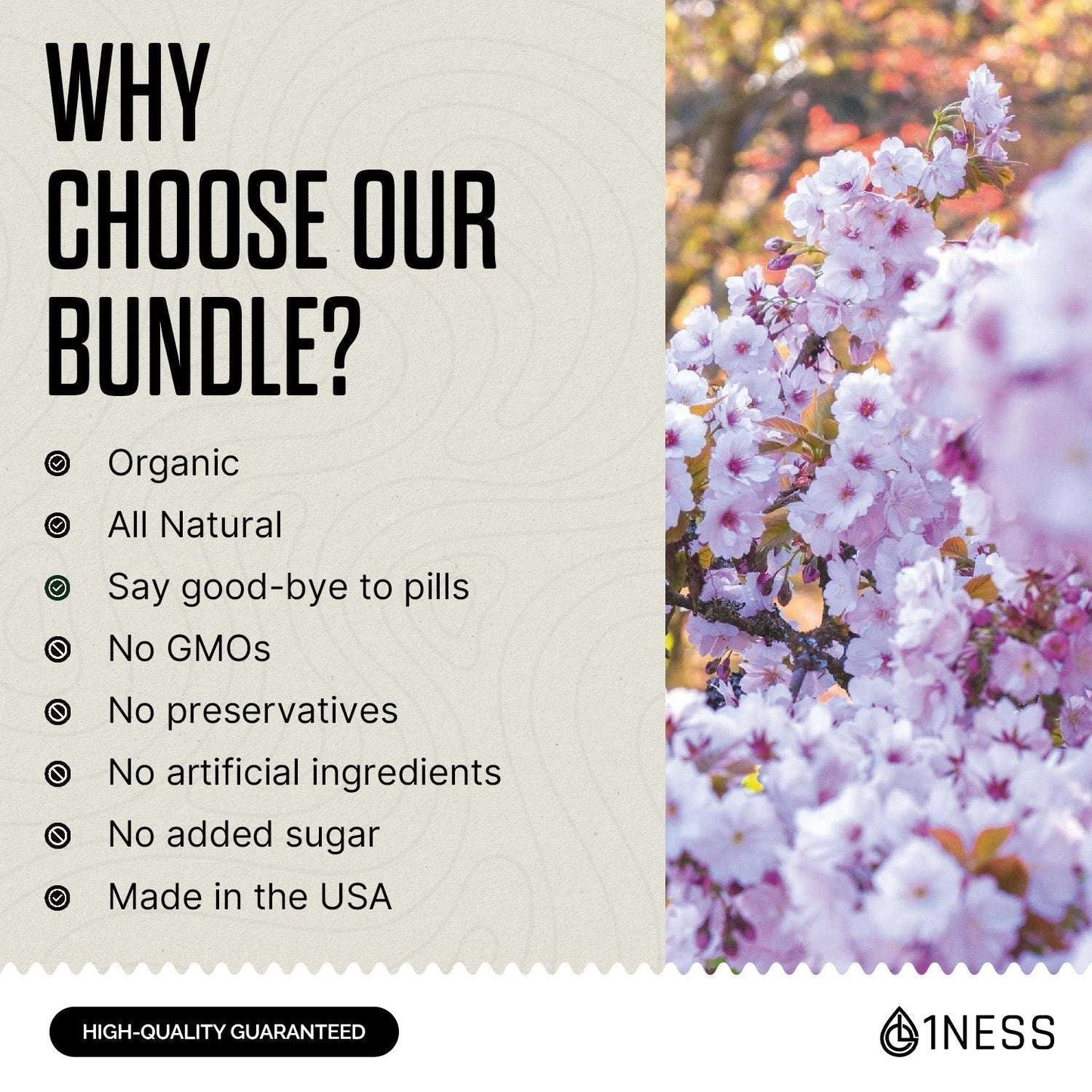 Gut-Brain Connection Package for Natural Digestive Support