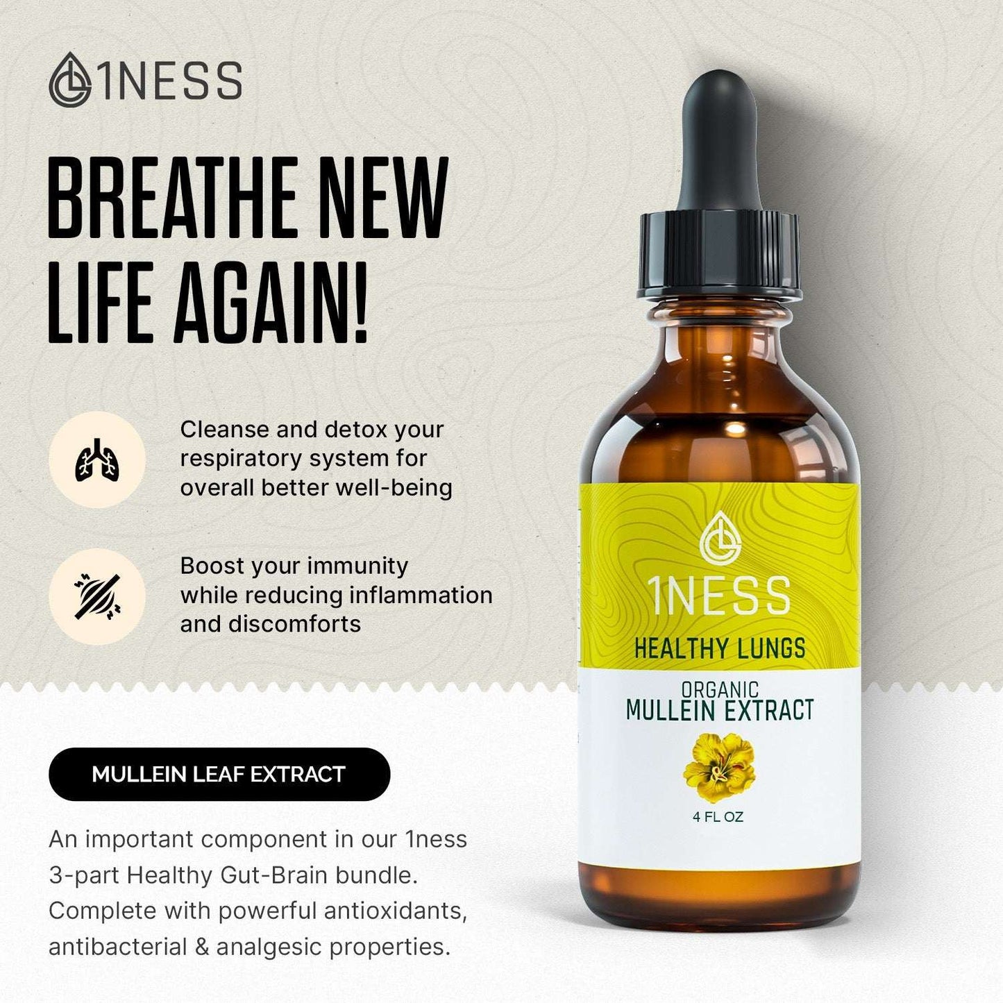 Healthy Gut-Brain for enhancing mental clarity and gut health