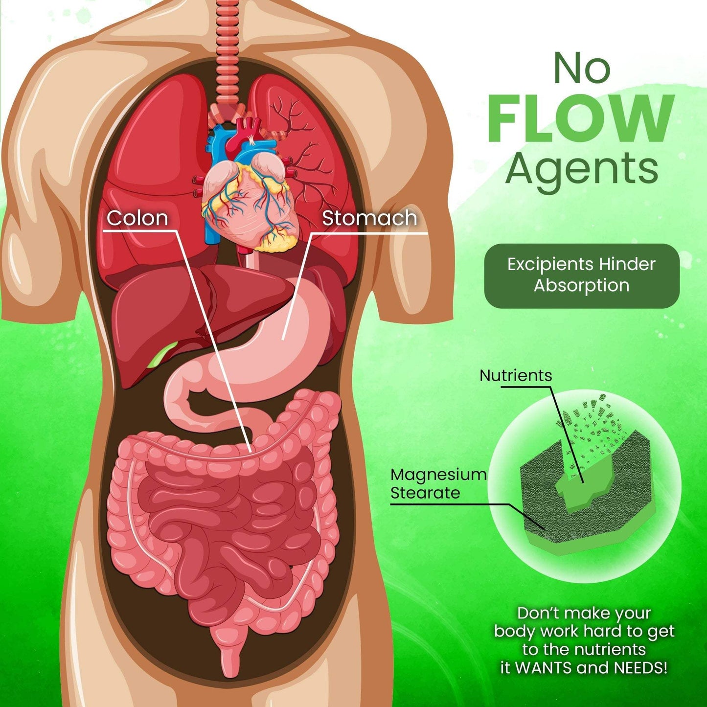 Hydrochloric Acid for smoother bowel movements