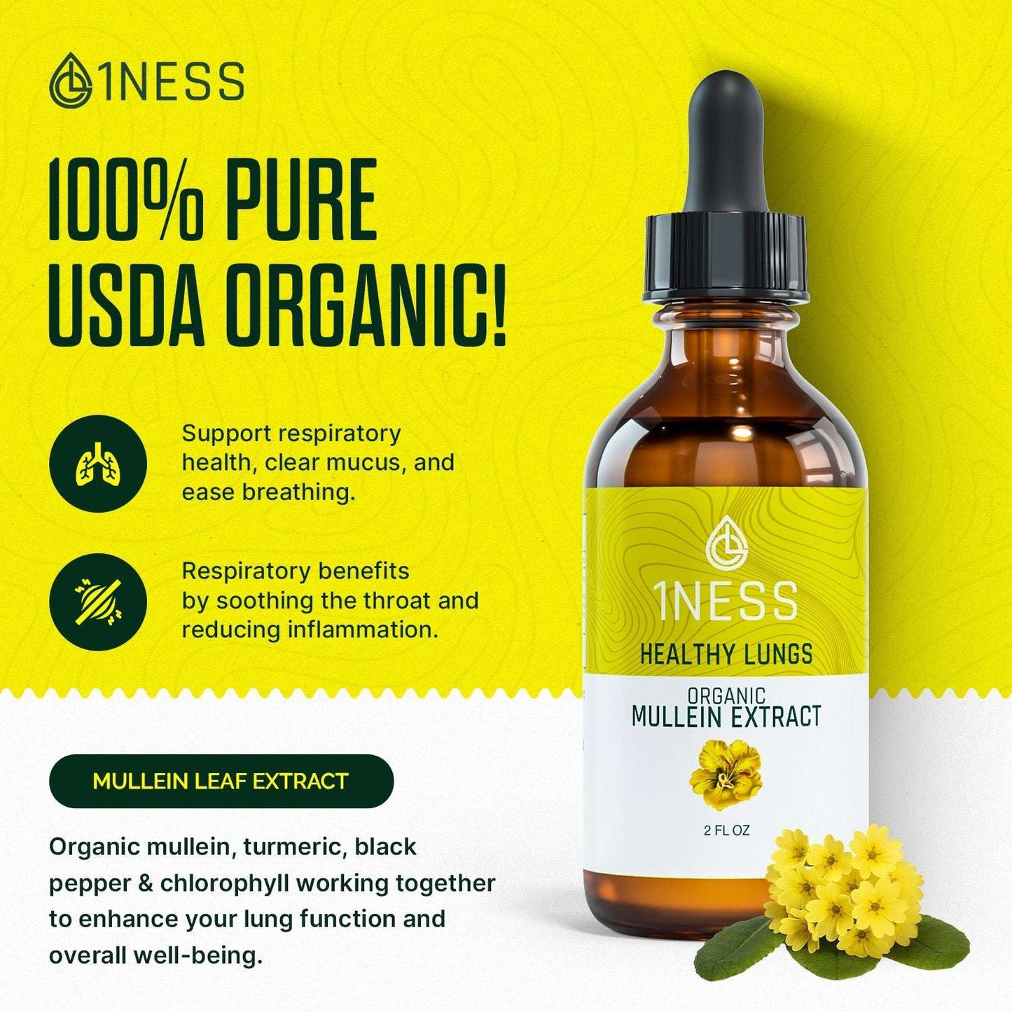 Mullein drops for lung support