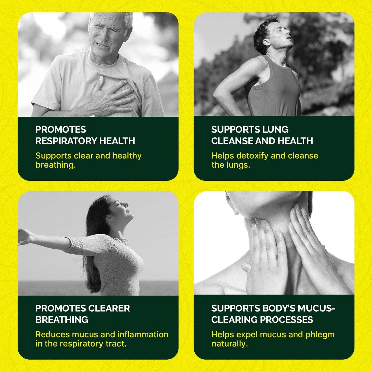 Mullein Leaf Extract healthy lungs