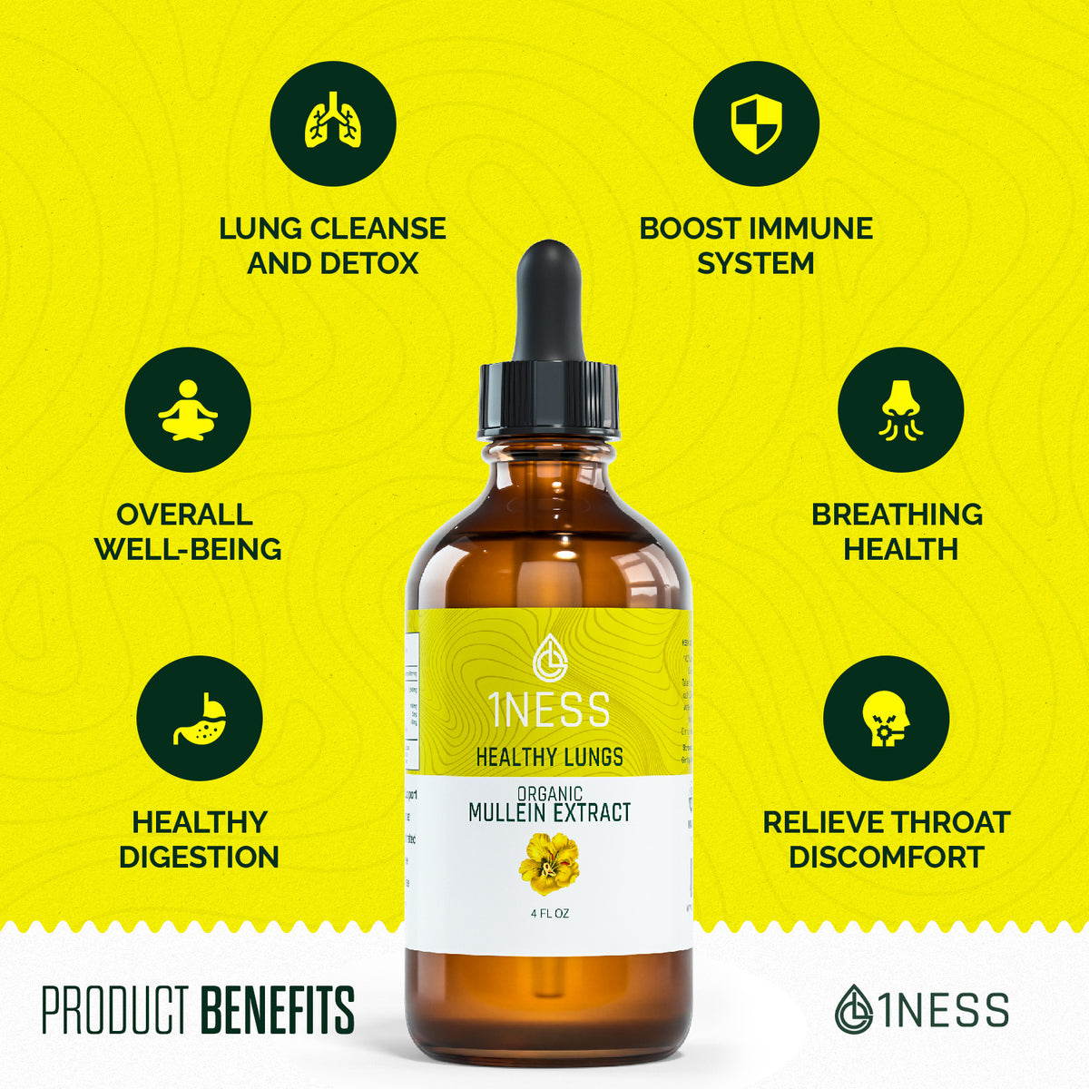 1NESS® Mullein Extract for Healthy Lungs – Organic Flower & Leaf Formula (4oz)