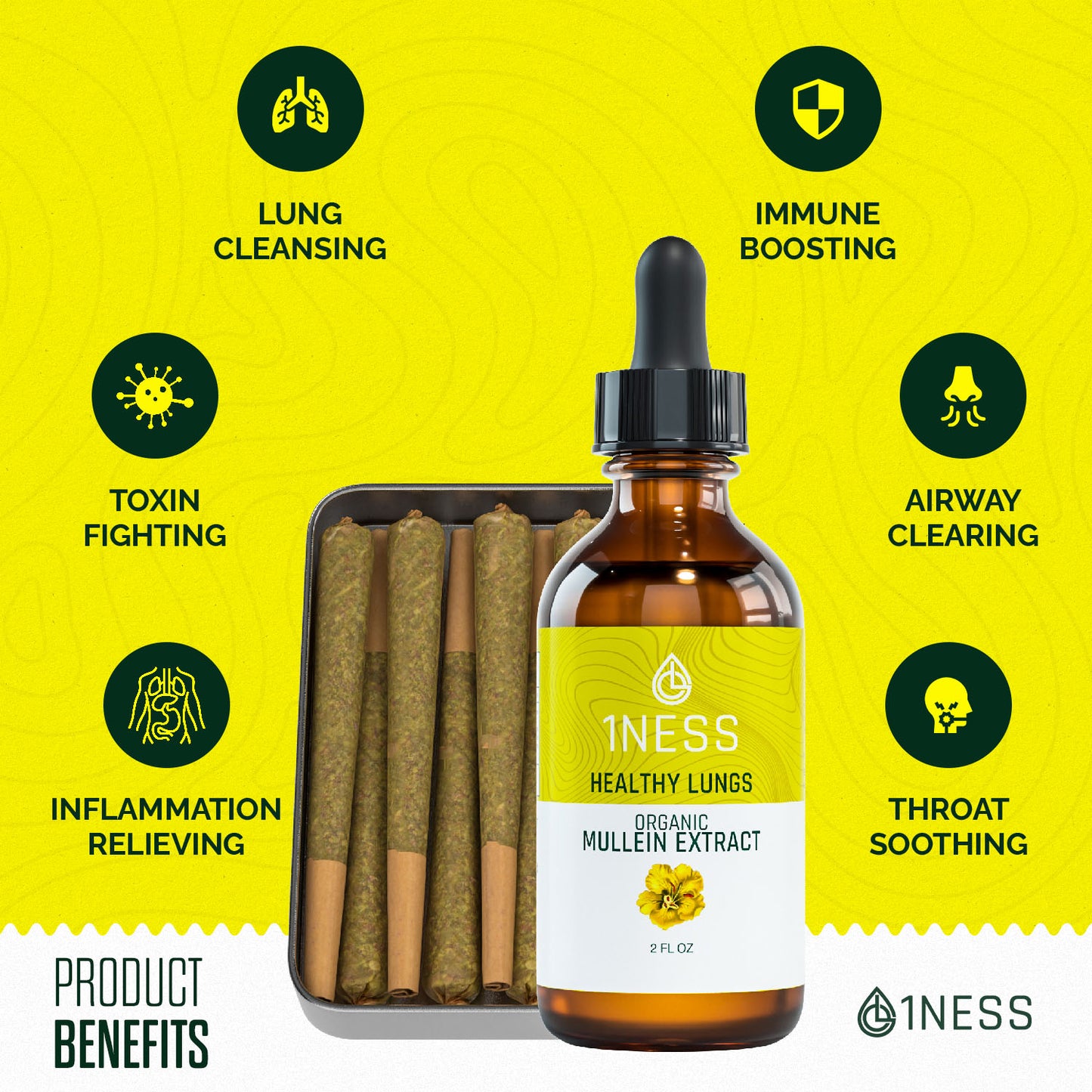 1NESS® Mullein Herbal Super Pack for Lung, Throat & Cough-Mucus Relief (2oz Set)