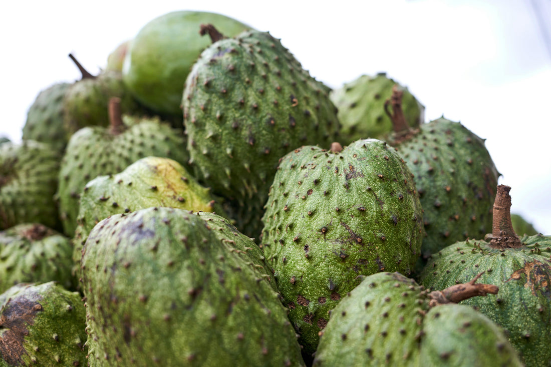 Soursop is ILLEGAL fruit in the USA?!