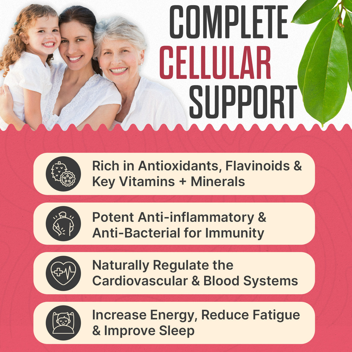 1NESS® Organic Soursop Extract for Cell Regeneration – Graviola Fruit & Leaf Formula (2oz)