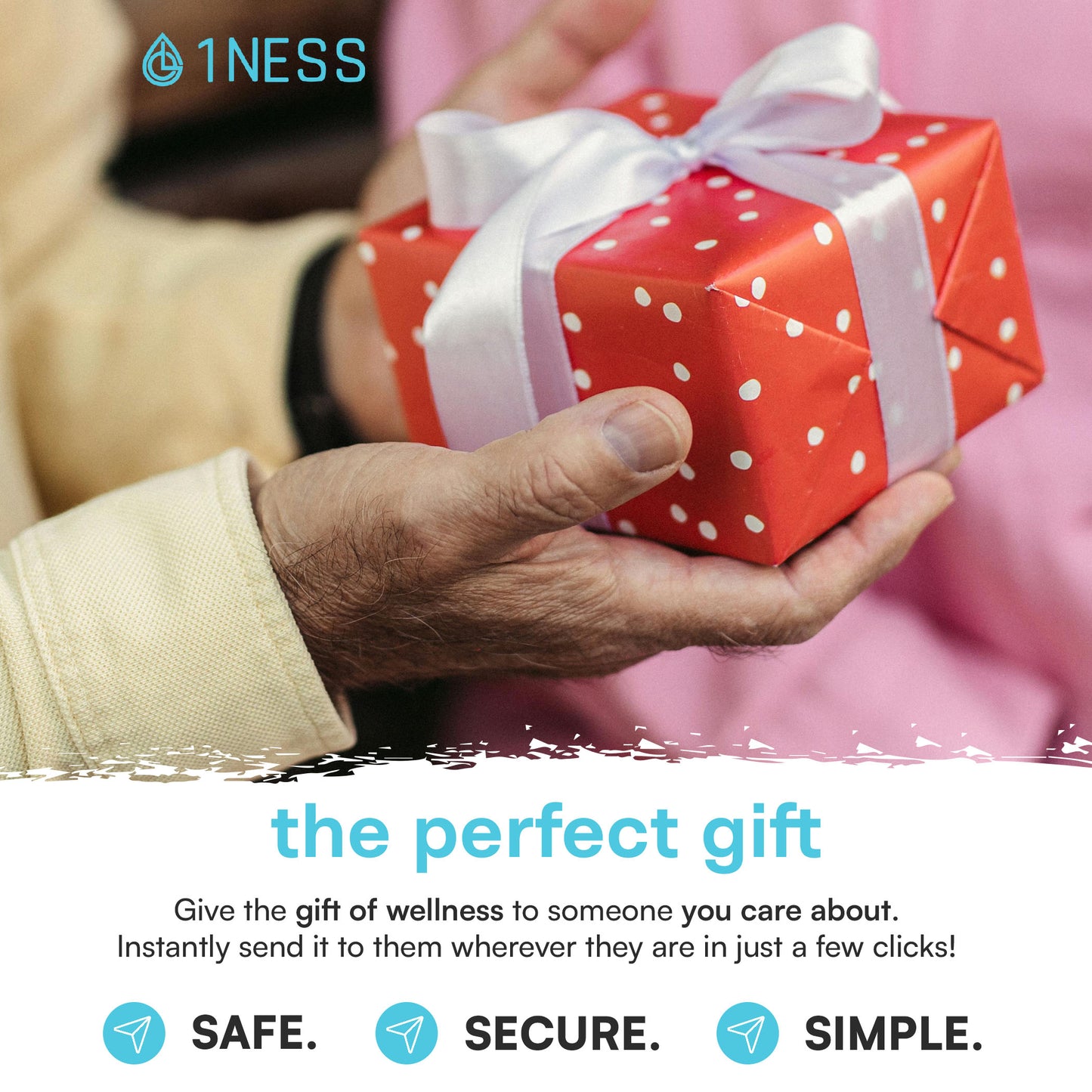 1NESS Gift Card ($50)