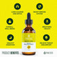Mullein Leaf Extract for immunity support