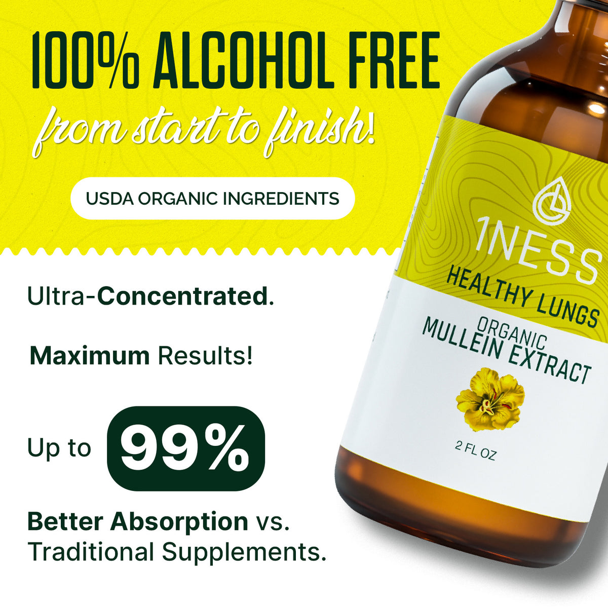 Mullein Leaf Extract for Healthy Lungs (2oz Glass)