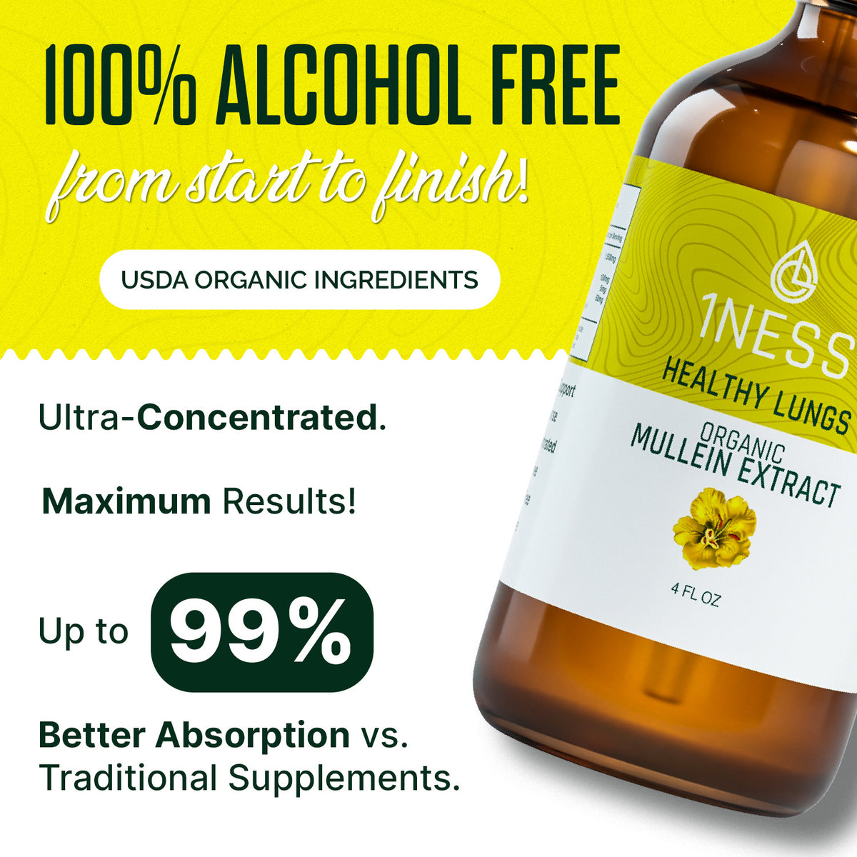 1NESS® Mullein Extract for Healthy Lungs – Organic Flower & Leaf Formula (4oz)