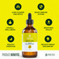 1NESS® Mullein Extract for Healthy Lungs – Organic Flower & Leaf Formula (4oz)