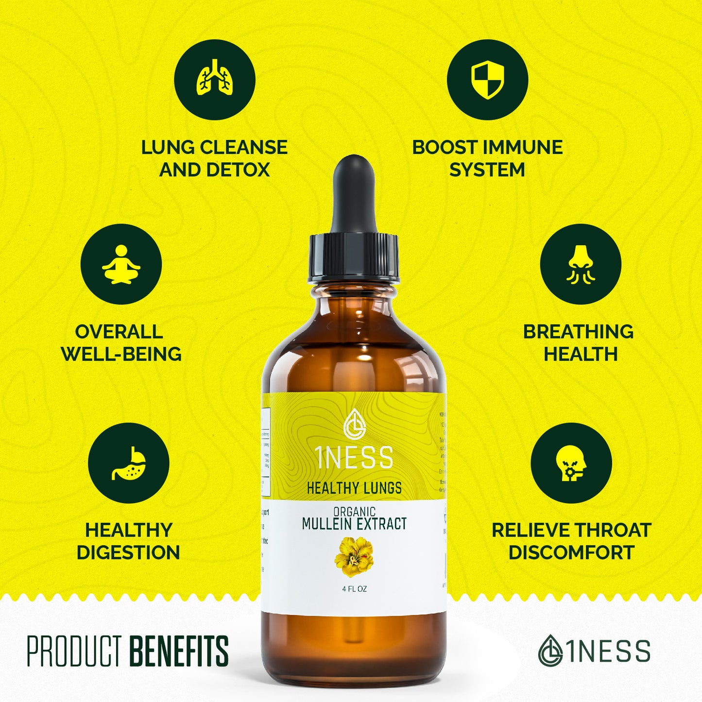 Mullein Tincture + Lung Health Frequency Album