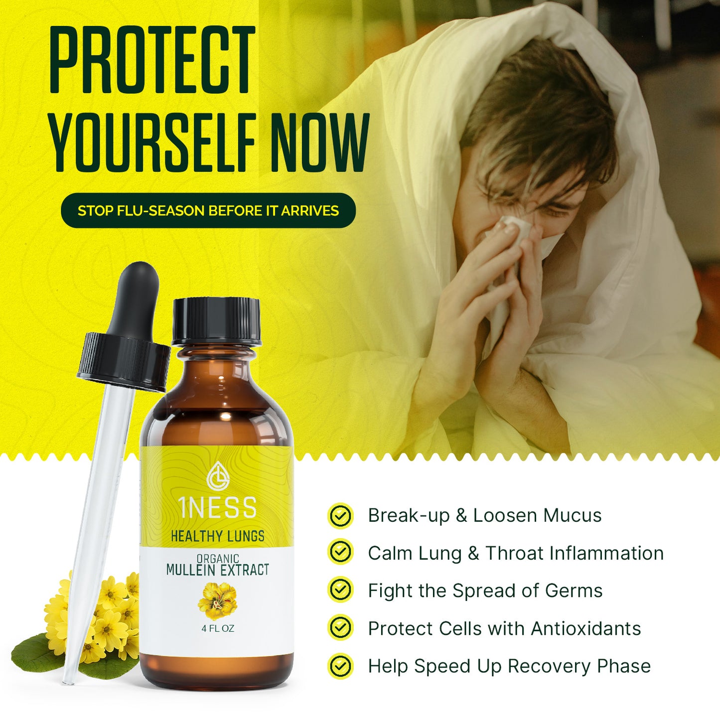 Mullein Tincture + Lung Health Frequency Album