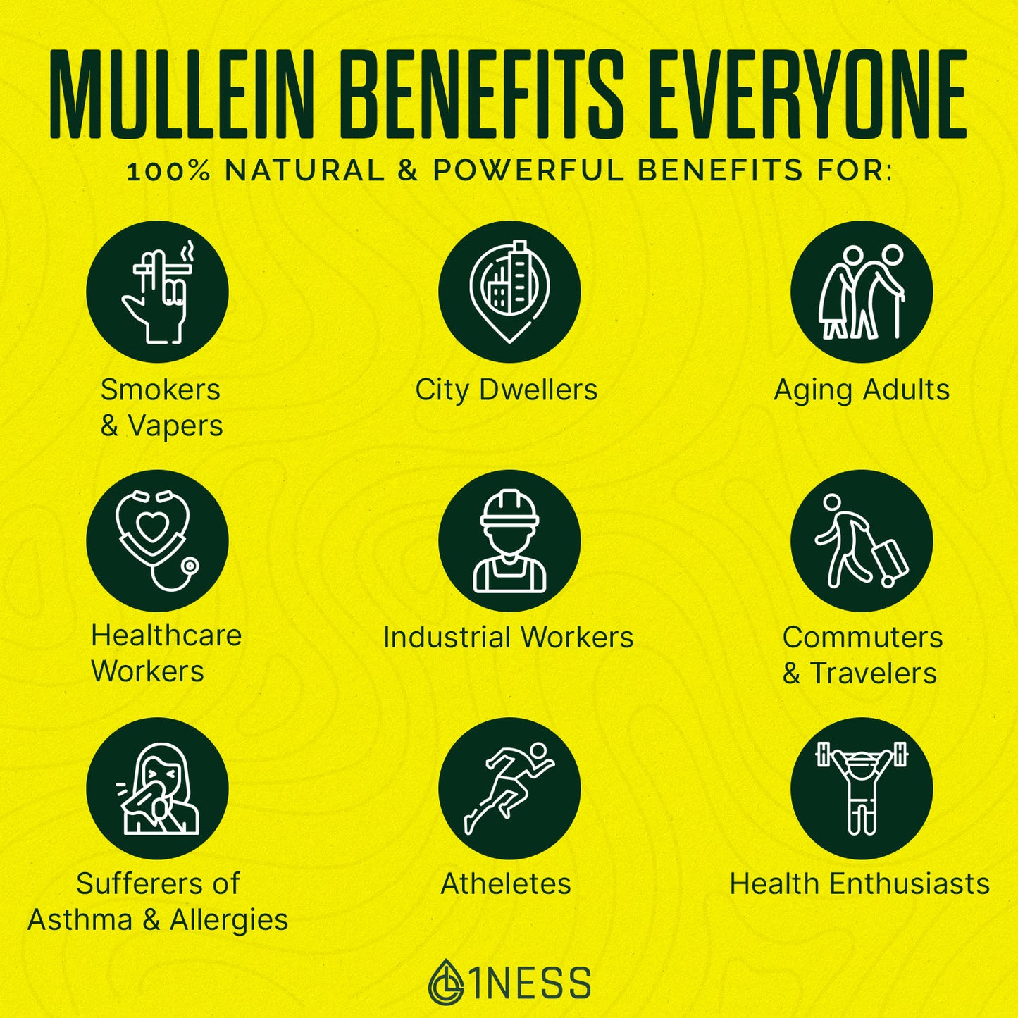 1NESS® Mullein Herbal Super Pack for Lung, Throat & Cough-Mucus Relief (4oz Set)