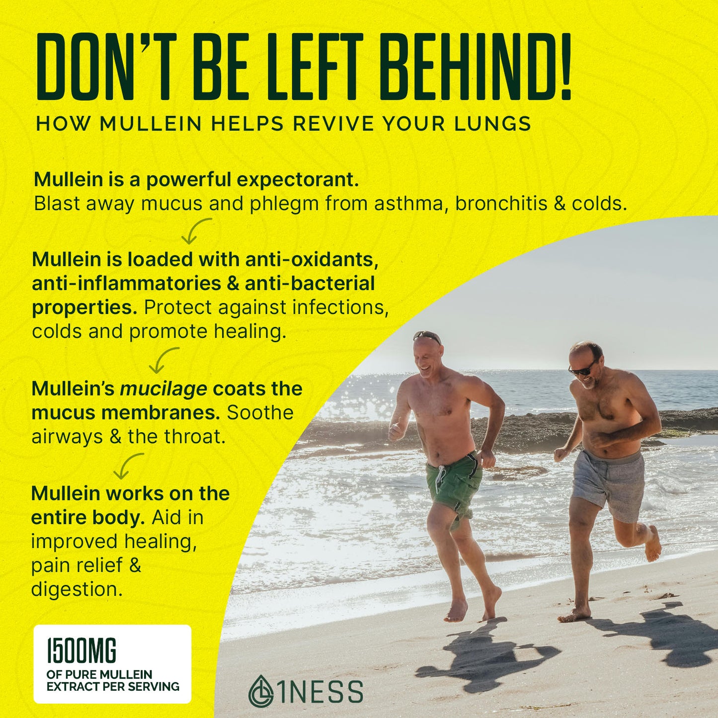 1NESS® Mullein Herbal Super Pack for Lung, Throat & Cough-Mucus Relief (2oz Set)