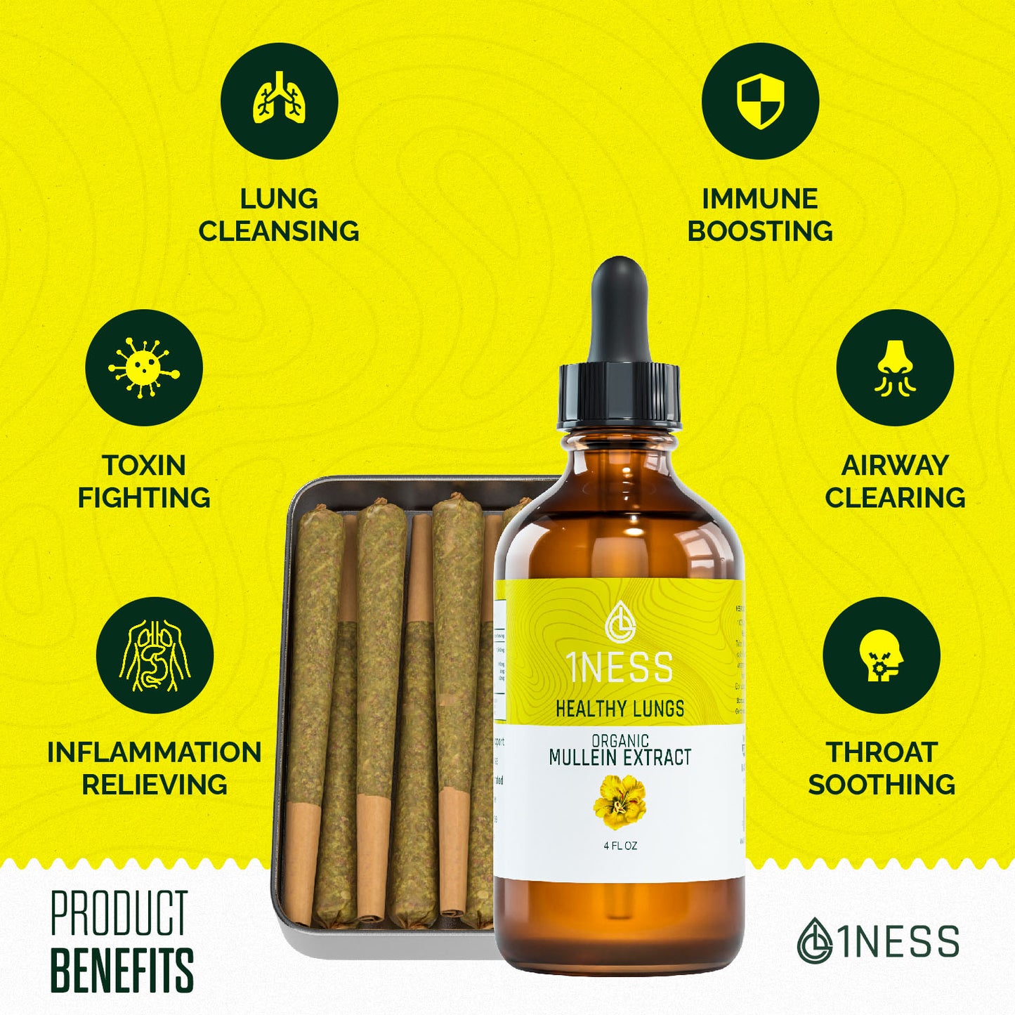 Mullein Tincture + Mullein Herbal Cigarettes + Lung Health Album