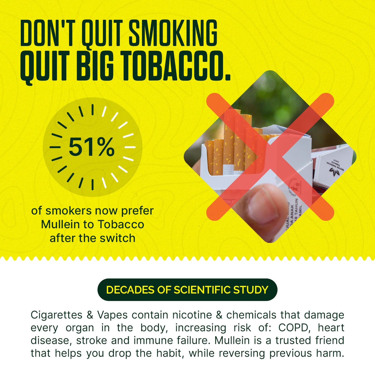 Mullein Tincture + Mullein Herbal Cigarettes + Lung Health Album