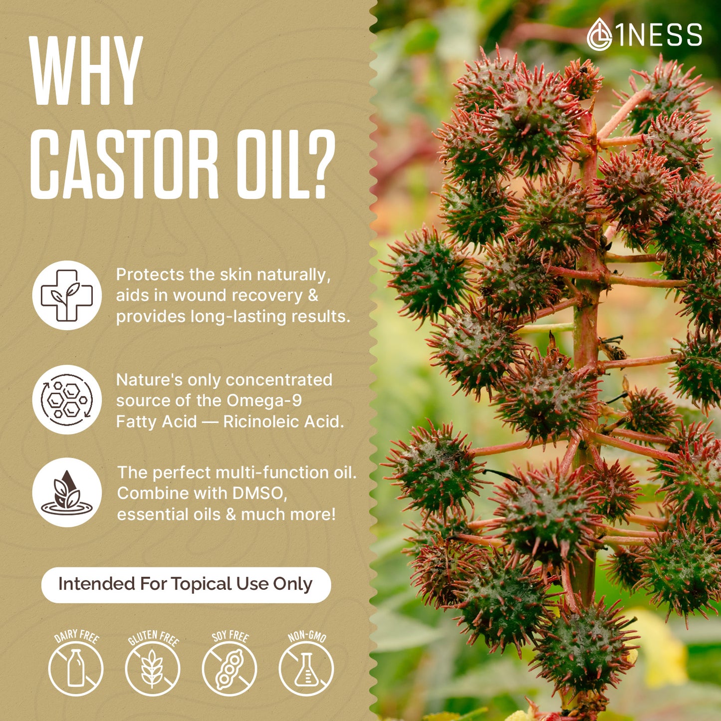 1NESS® Hexane-Free Organic Castor Oil